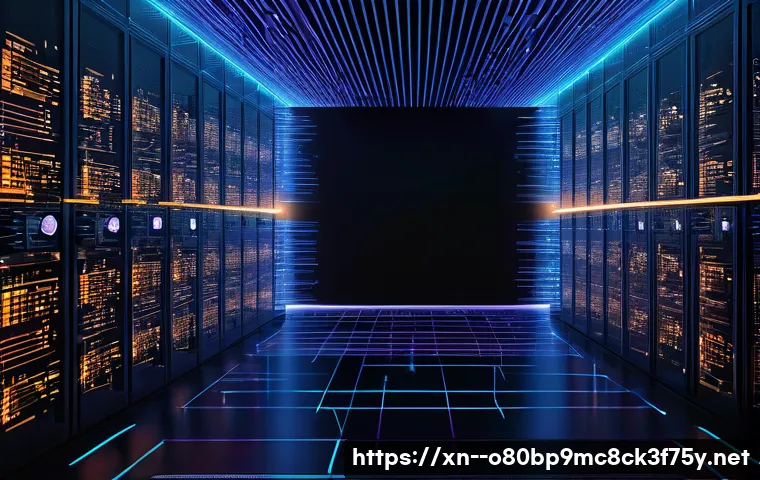 세류동 STATUS_FLOAT_OVERFLOW 관련 이미지 1