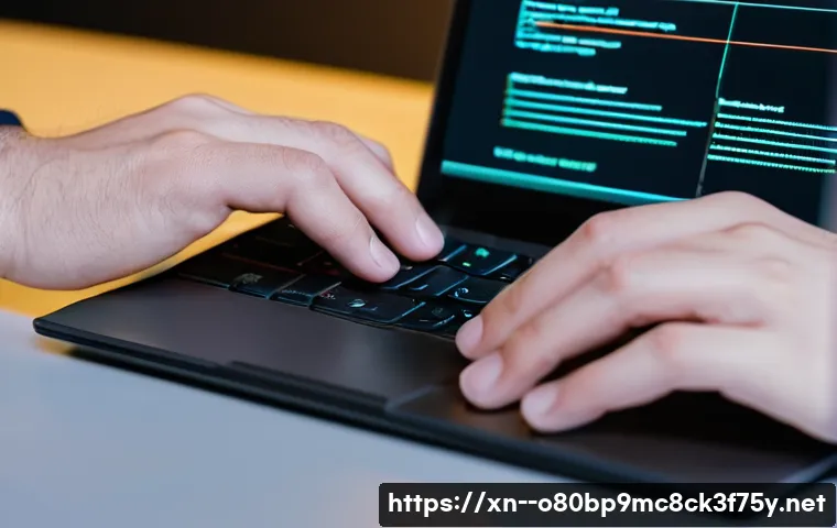 마장동 STATUS_INVALID_DISPOSITION 관련 이미지 1