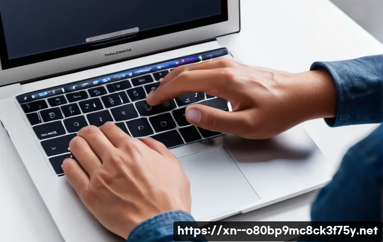 금곡동 macosX재설치 포맷  초기화 관련 이미지 1