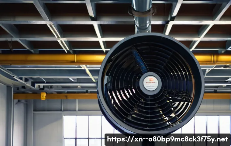 연천군 팬돌다 멈춤 관련 이미지 1