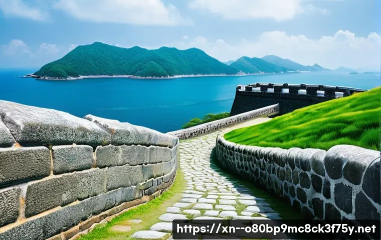 강화군 MEMORY_MANAGEMENT 관련 이미지 1