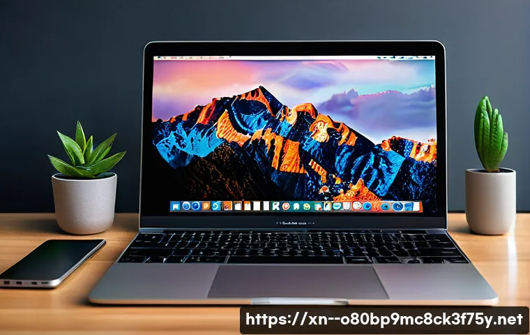 십정동 맥윈도우 부트캠프_bootcamp 재설치 포맷  초기화 관련 이미지 1