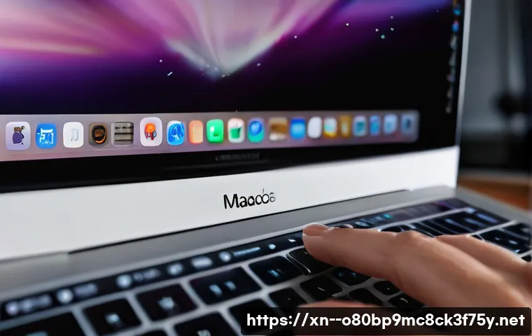 팔달로 macosX재설치 포맷  초기화 관련 이미지 2