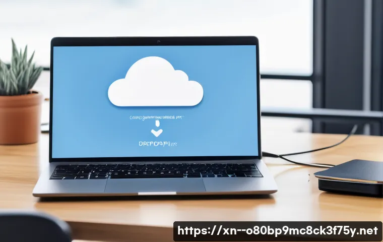내곡동 STATUS_DISK_WRITE_FAILURE 관련 이미지 1