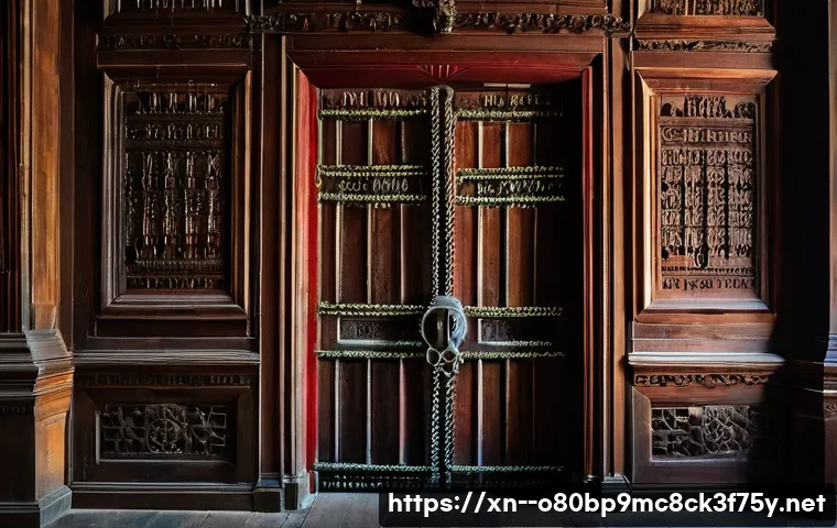 안국동 STATUS_MEMORY_ACCESS_DENIED 관련 이미지 1