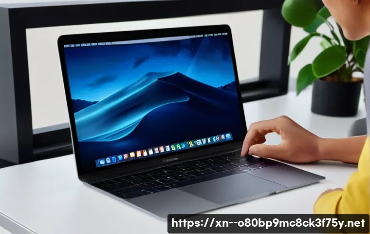 양상동 macosX재설치 포맷  초기화 관련 이미지 2