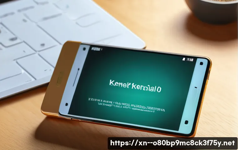 시천동 STATUS_KERNEL_UNSUPPORTED_DEVICE 관련 이미지 1