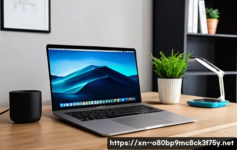 서구 맥윈도우 부트캠프_bootcamp 재설치 포맷  초기화 관련 이미지 2