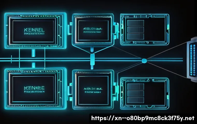 호수동 STATUS_MEMORY_ACCESS_DENIED 관련 이미지 2