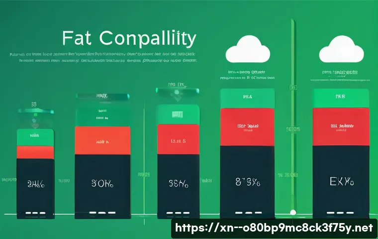 평택시 FAT32_FILE_SYSTEM 관련 이미지 1