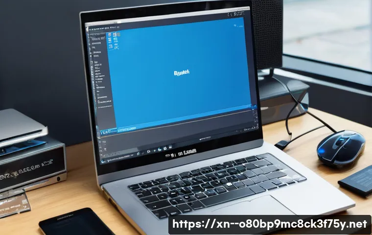 내수동 BUGCODE_USB_DRIVER 관련 이미지 1