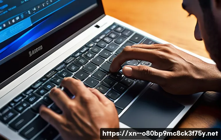 원삼면 IO_DEVICE_ERROR 관련 이미지 2