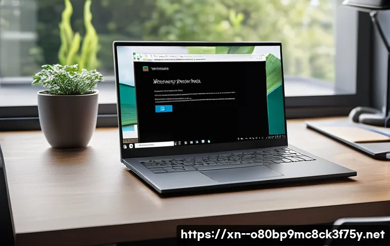 와룡동 CRITICAL_PROCESS_DIED 관련 이미지 1
