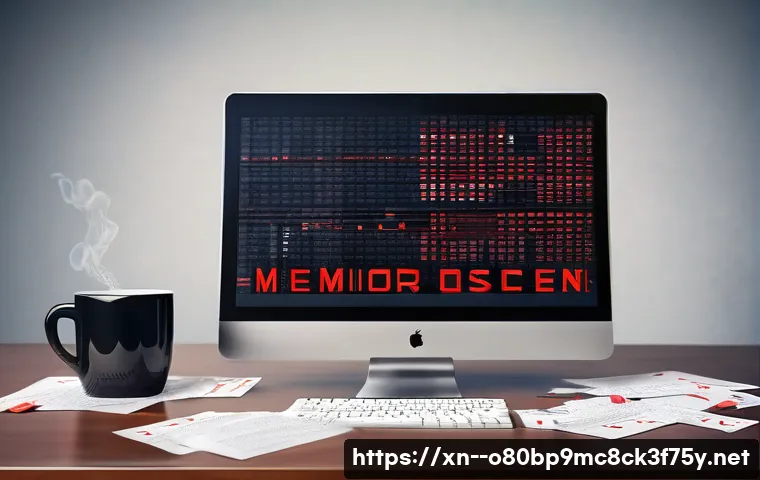 처인구 STATUS_MEMORY_OVERFLOW 관련 이미지 2