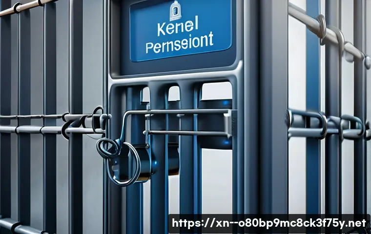 장안면 STATUS_KERNEL_ACCESS_DENIED 관련 이미지 1