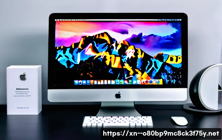 안산동 macosX재설치 포맷  초기화 관련 이미지 2