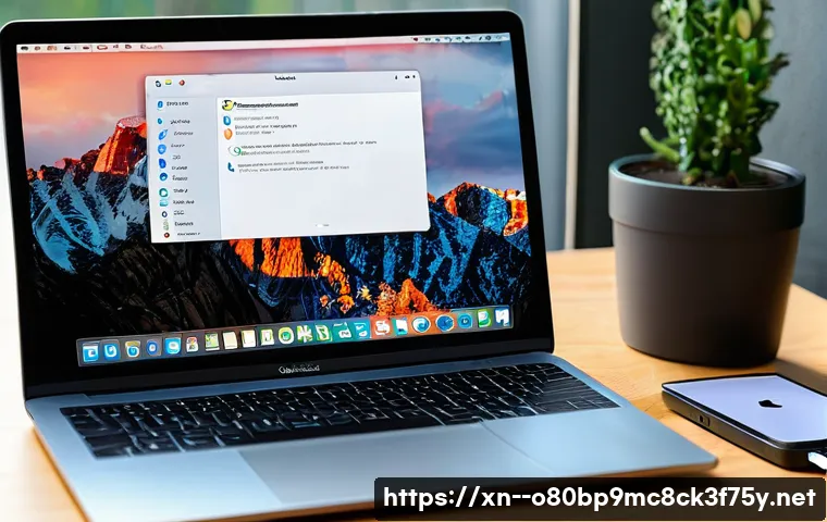 옥산동 맥윈도우 부트캠프_bootcamp 재설치 포맷  초기화 관련 이미지 1