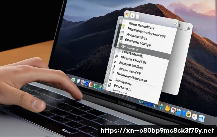 영북면 macosX재설치 포맷  초기화 관련 이미지 1