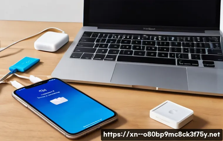 영북면 macosX재설치 포맷  초기화 관련 이미지 2