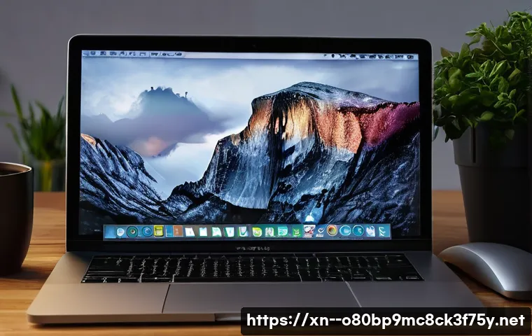 역촌동 macosX재설치 포맷 초기화 관련 이미지 2
