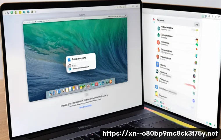 권농동 macosX재설치 포맷  초기화 관련 이미지 2