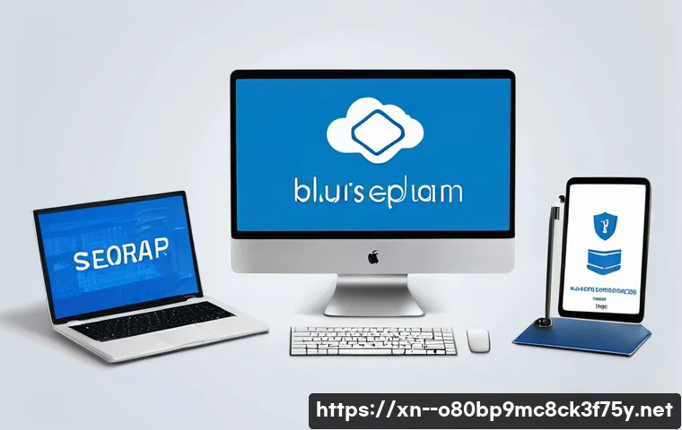 성남시 블루스크린 관련 이미지 2