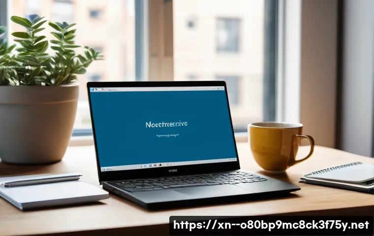 갈월동 STATUS_KERNEL_DRIVER_CORRUPTION 관련 이미지 2