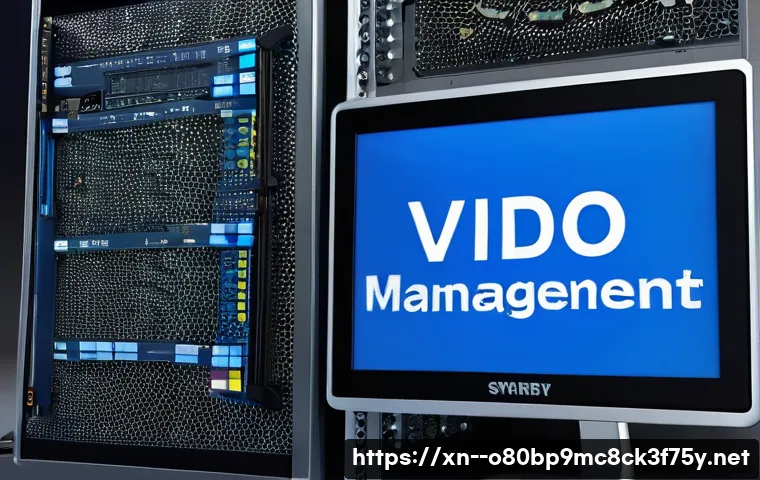 양촌읍 VIDEO_MEMORY_MANAGEMENT_INTERNAL 관련 이미지 2