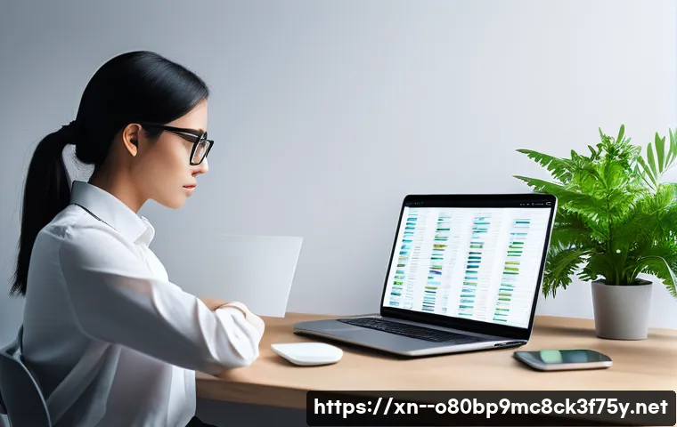 하갈동 STATUS_MEMORY_OVERFLOW 관련 이미지 2