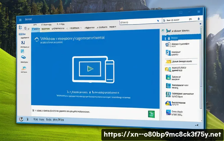 독산동 VIDEO_MEMORY_MANAGEMENT_INTERNAL 관련 이미지 1