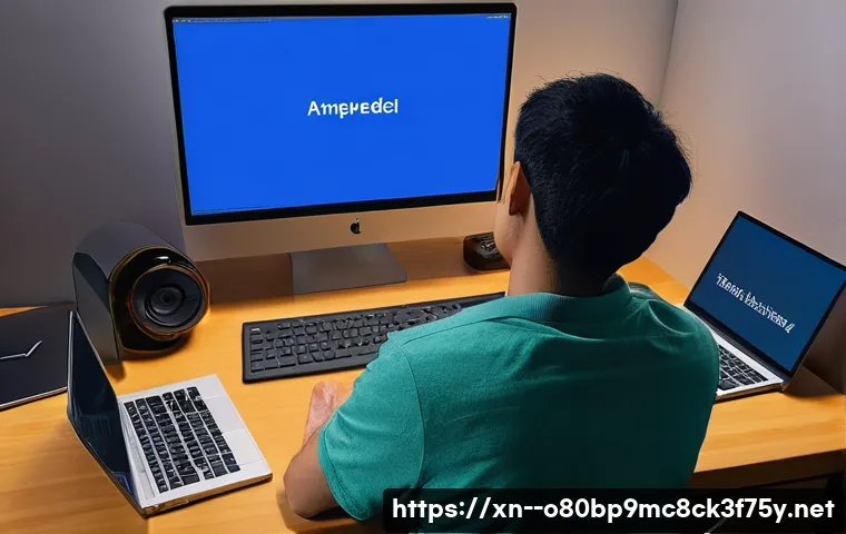 충신동 ATTEMPTED_EXECUTE_OF_NOEXECUTE_MEMORY 관련 이미지 1