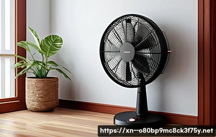 보라매동 팬돌다 멈춤 관련 이미지 1