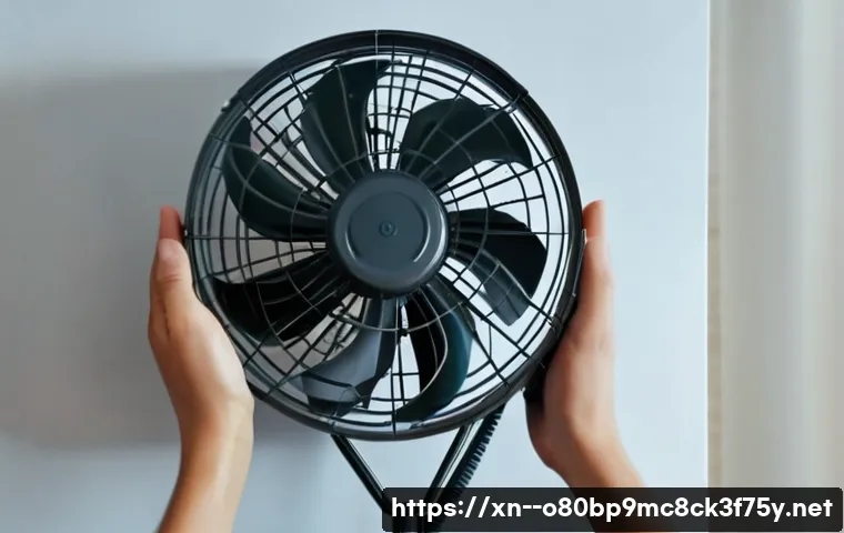 보라매동 팬돌다 멈춤 관련 이미지 2