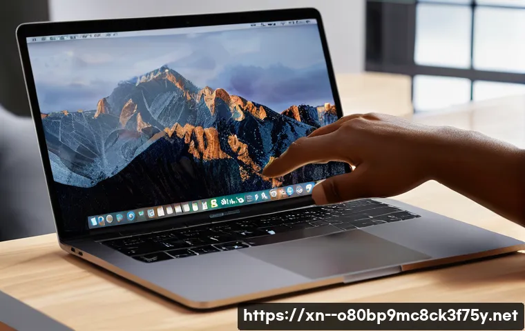 석운동 macosX재설치 포맷  초기화 관련 이미지 1