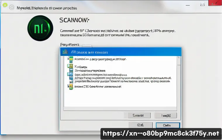 삼산면 SYSTEM_SERVICE_EXCEPTION 관련 이미지 1