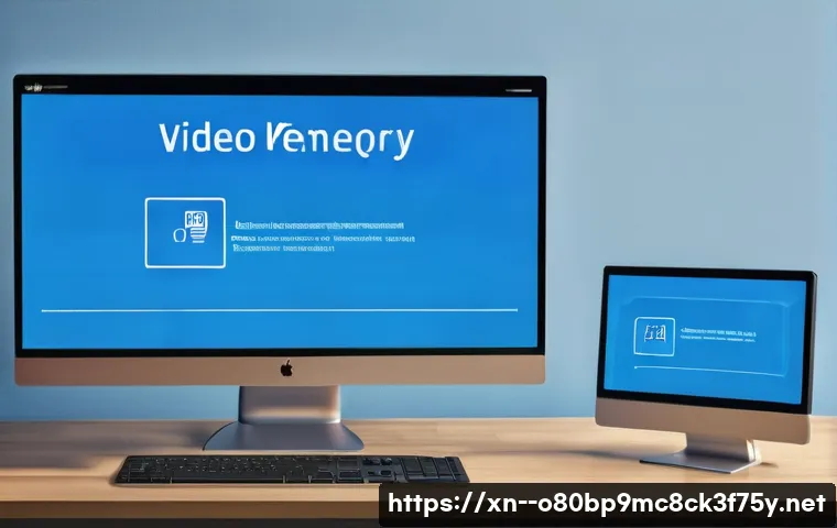 석수동 VIDEO_MEMORY_MANAGEMENT_INTERNAL 관련 이미지 2