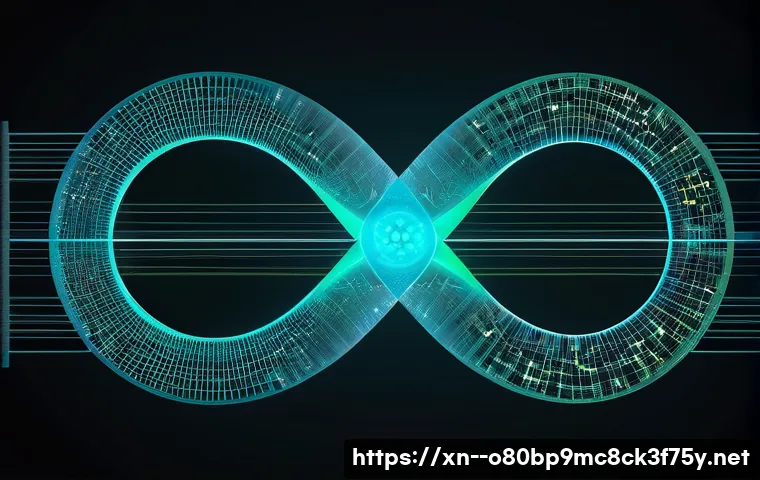 석정동 STATUS_FLOAT_DIVIDE_BY_ZERO 관련 이미지 1