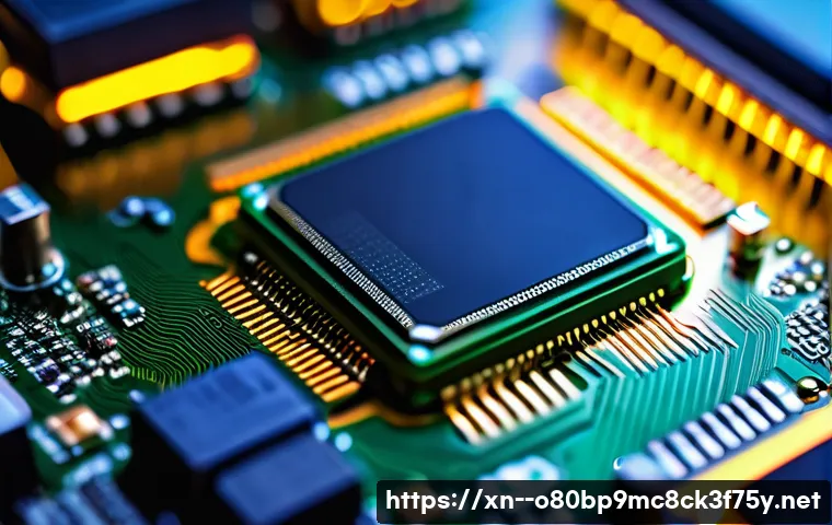 서교동 SYSTEM_SERVICE_EXCEPTION 관련 이미지 1