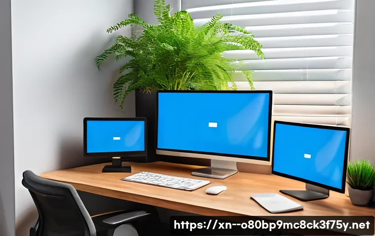 안성시 블루스크린 관련 이미지 2