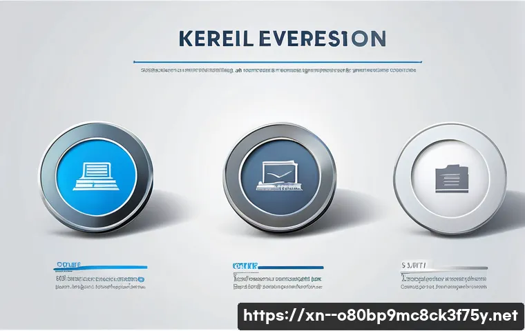 정릉동 STATUS_KERNEL_FILE_SYSTEM_ERROR 관련 이미지 2