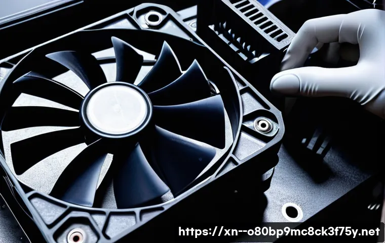 동탄시 팬돌다 멈춤 관련 이미지 1