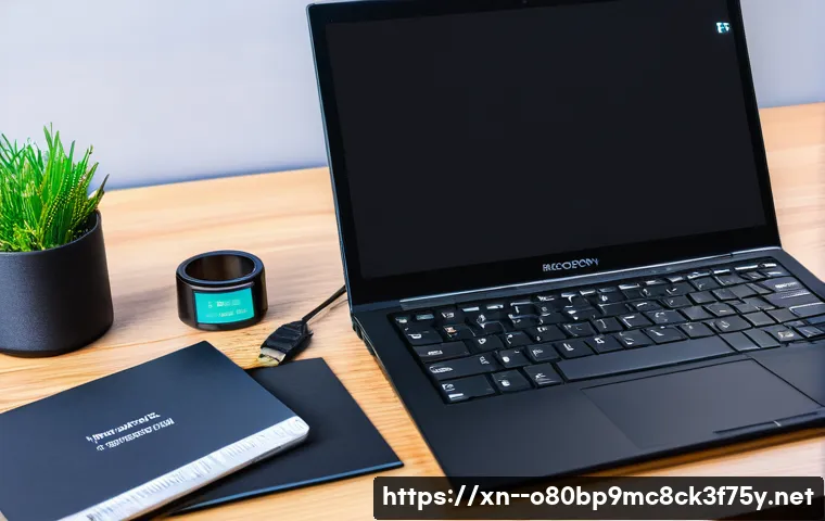 불로동 STATUS_KERNEL_BOOT_DRIVE_ERROR 관련 이미지 2