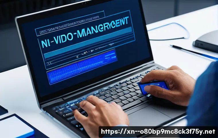 증산동 VIDEO_MEMORY_MANAGEMENT_INTERNAL 관련 이미지 1