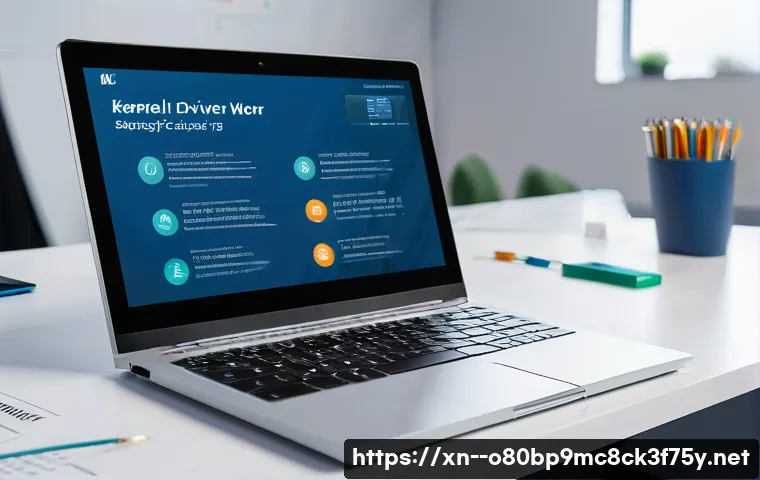 도곡동 STATUS_KERNEL_DRIVER_CORRUPTION 관련 이미지 2