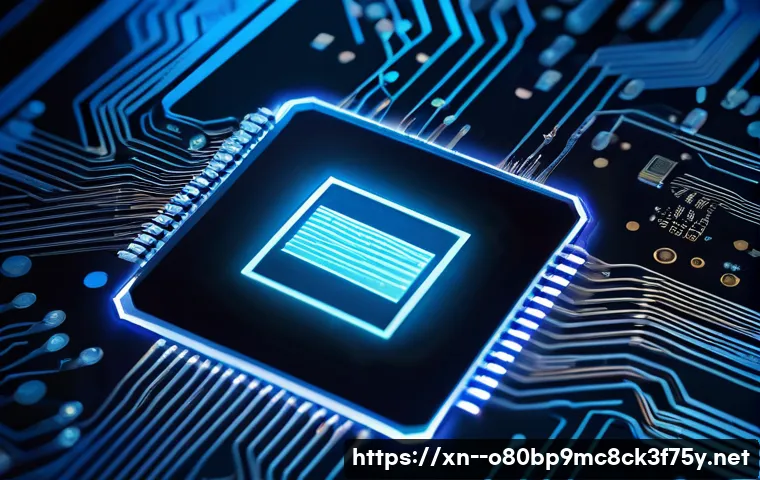 갈매동 STATUS_PAGE_FAULT 관련 이미지 1