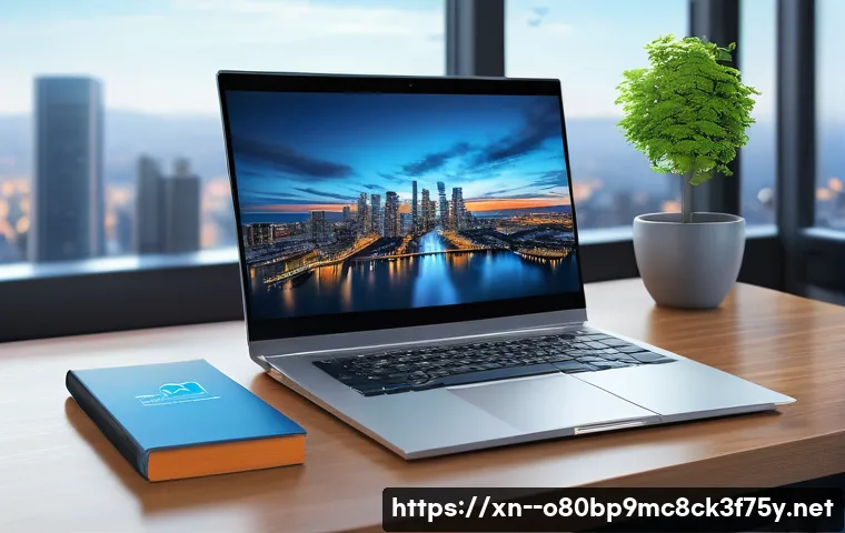 서패동 STATUS_DISK_CORRUPTION 관련 이미지 1