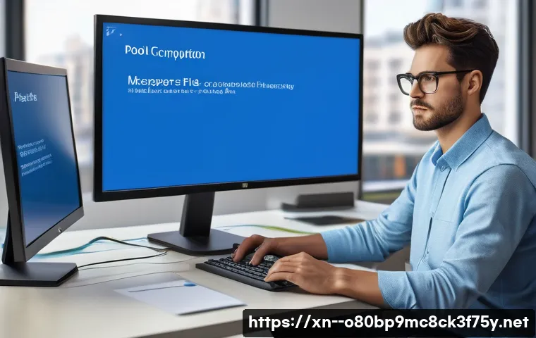 인천시 POOL_CORRUPTION_IN_FILE_AREA 관련 이미지 1