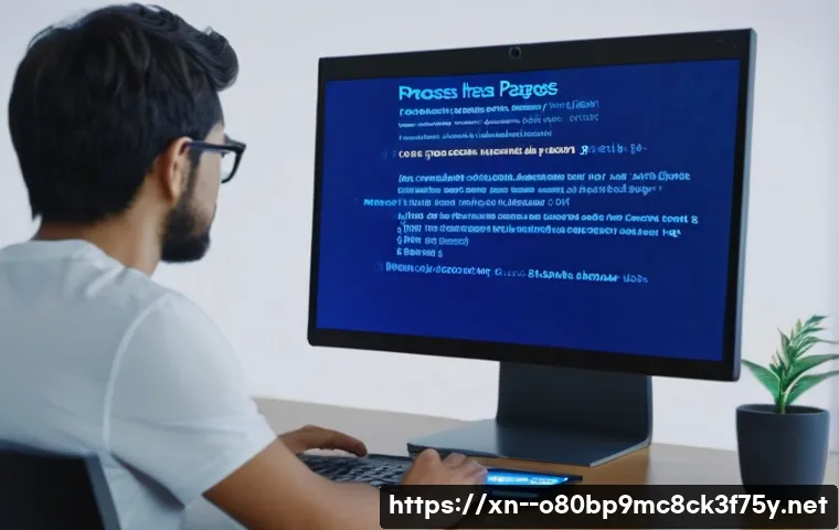 처인구 PROCESS_HAS_LOCKED_PAGES 관련 이미지 1
