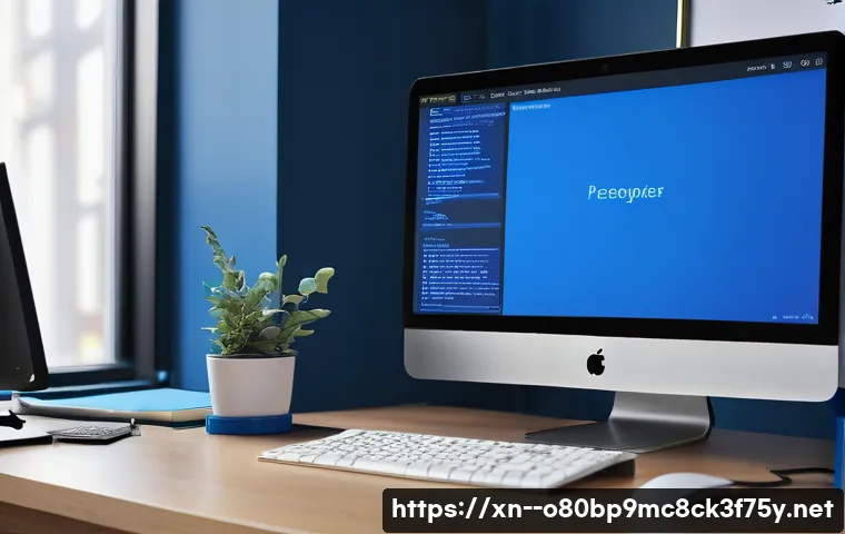 장록동 STATUS_PAGE_FAULT 관련 이미지 2