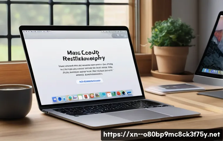 고암동 macosX재설치 포맷  초기화 관련 이미지 2